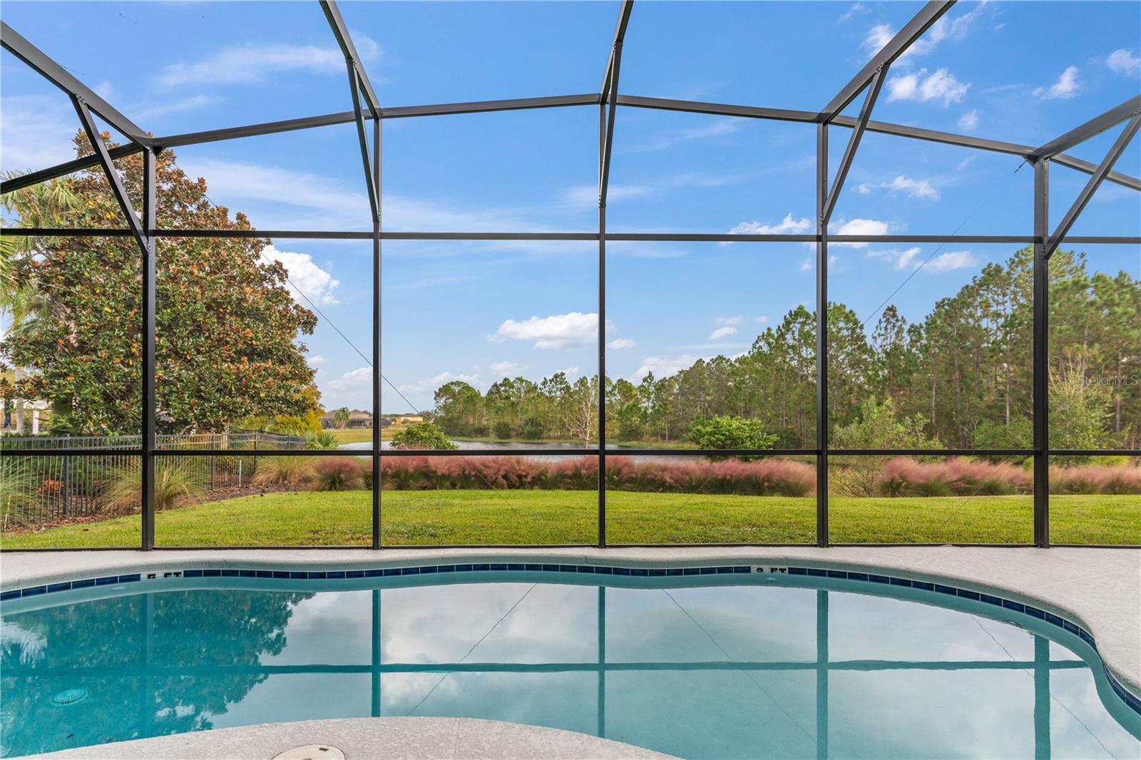 1205 BUTTERFLY ORCHID RD, DAVENPORT, FL — photo 3