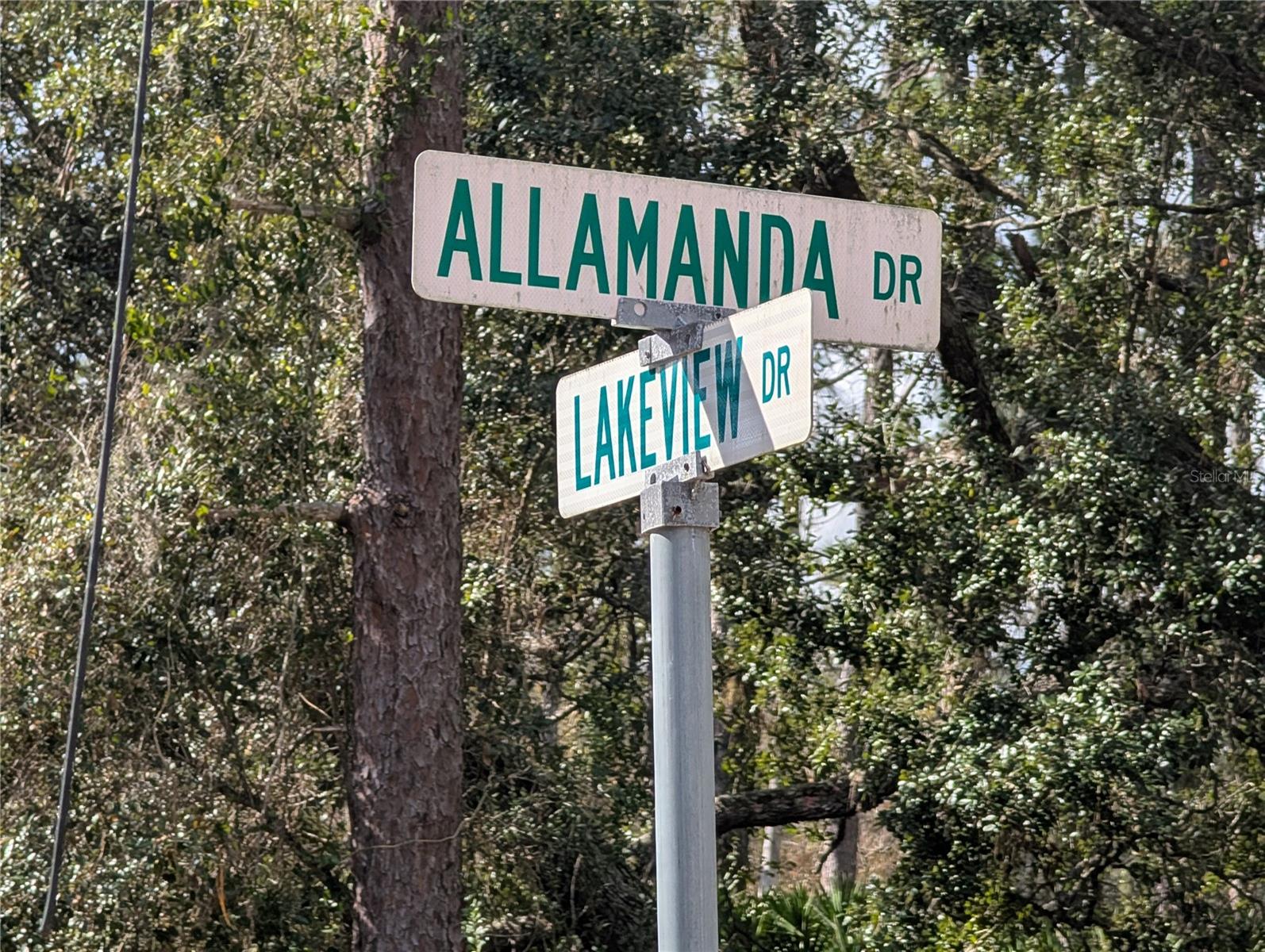 ALLAMANDA DR, INDIAN LAKE ESTATES, FL
