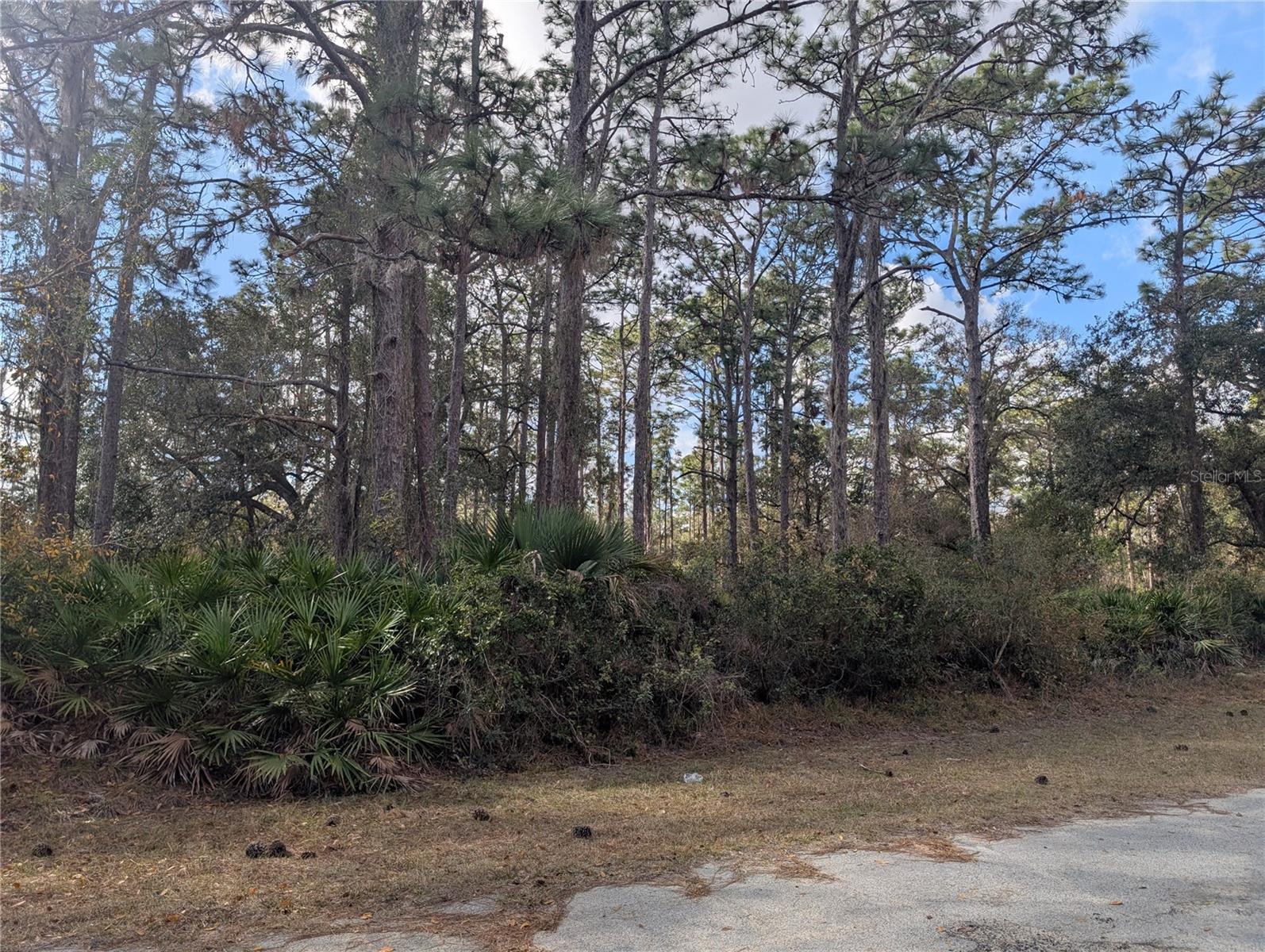 ALLAMANDA DR, INDIAN LAKE ESTATES, FL — photo 2