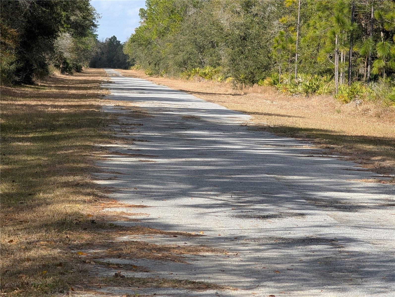 ALLAMANDA DR, INDIAN LAKE ESTATES, FL — photo 3