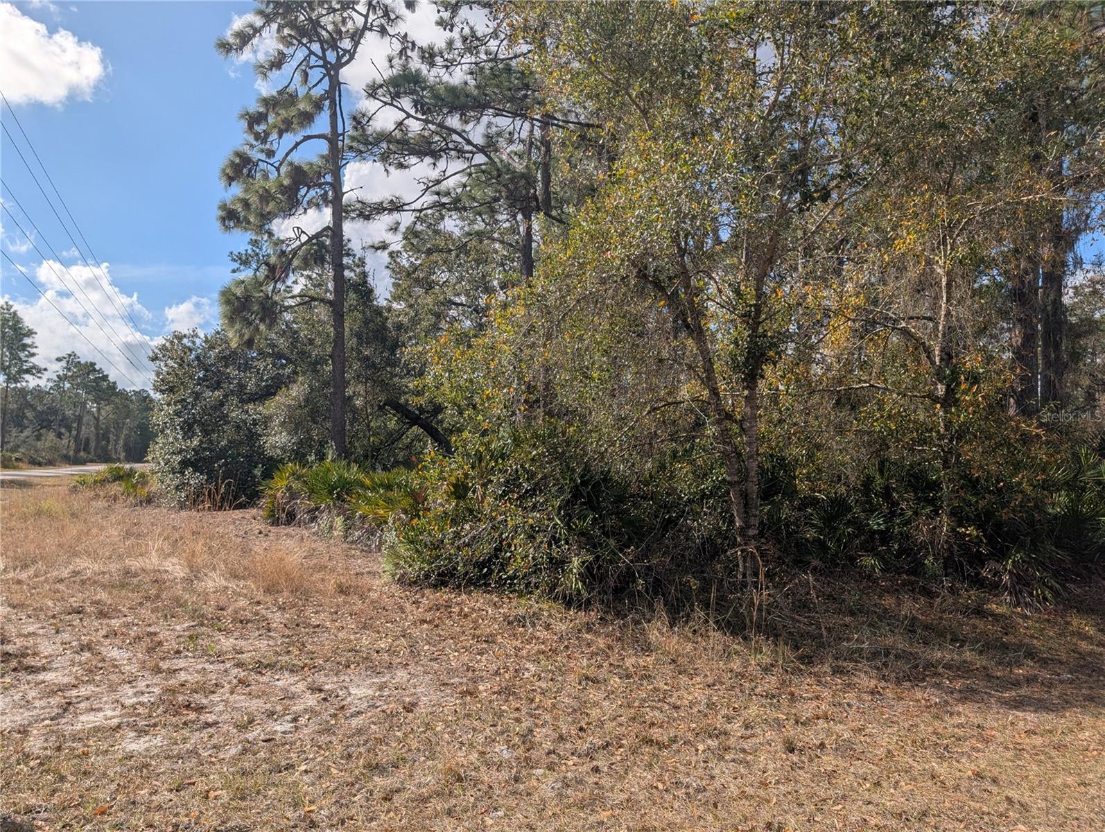 ALLAMANDA DR, INDIAN LAKE ESTATES, FL — photo 4