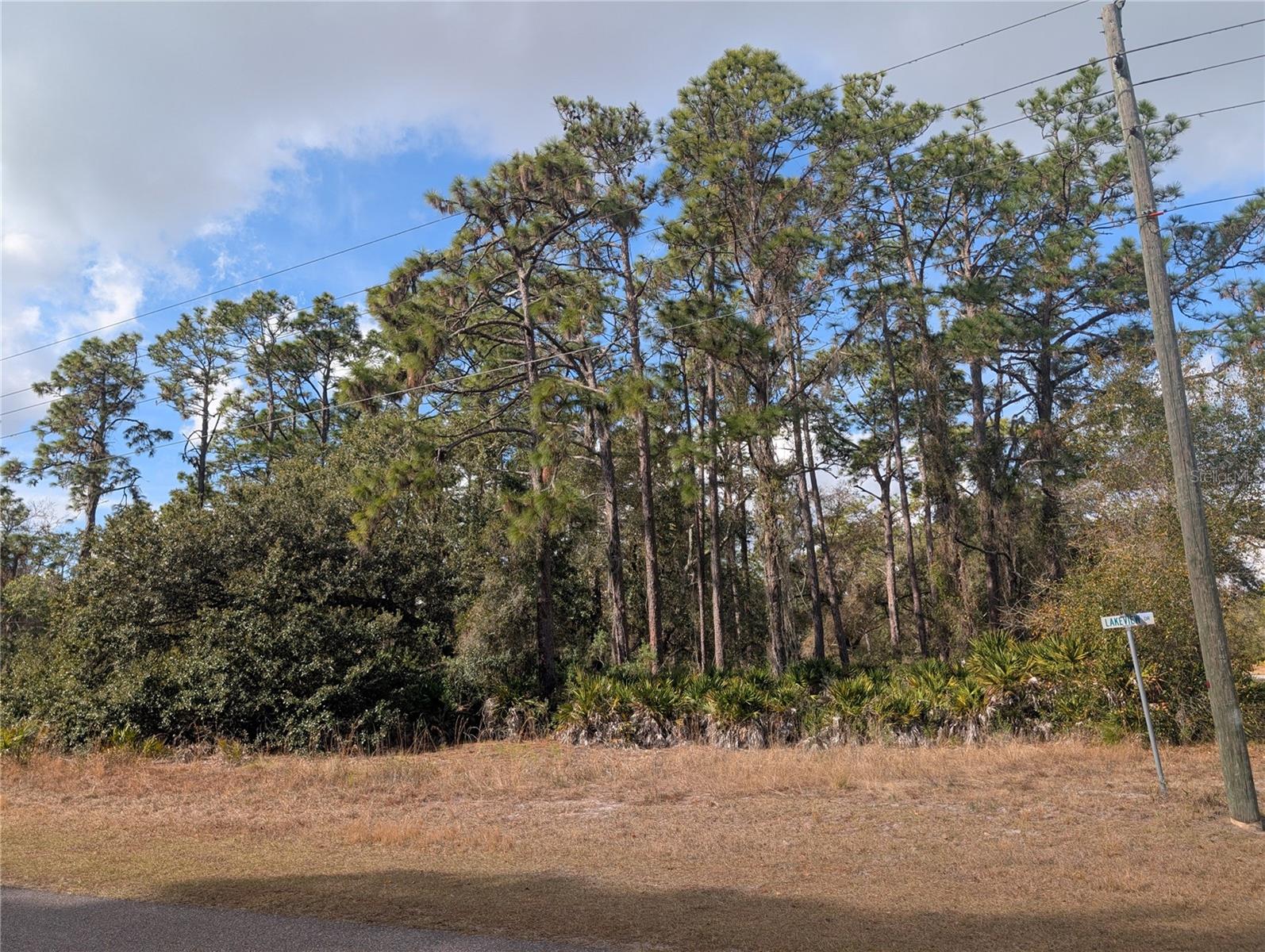 ALLAMANDA DR, INDIAN LAKE ESTATES, FL — photo 5