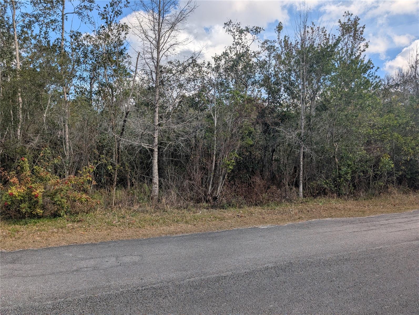 ALLAMANDA DR, INDIAN LAKE ESTATES, FL — photo 6