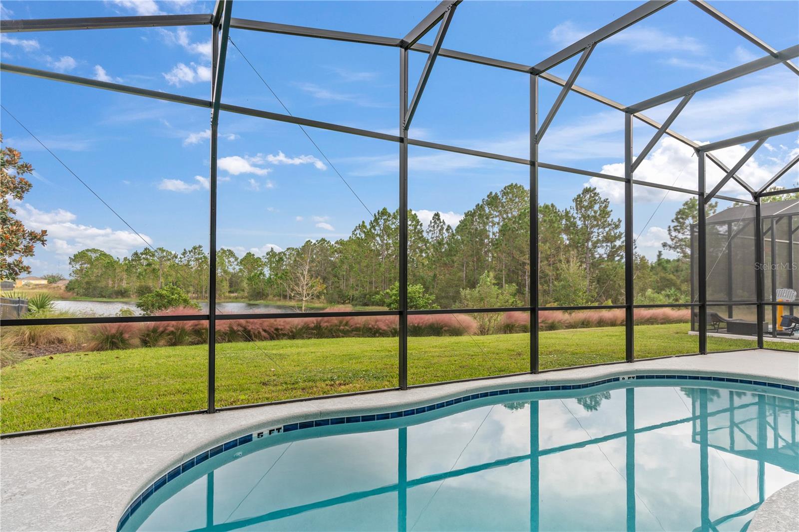 1205 BUTTERFLY ORCHID RD, DAVENPORT, FL — photo 23