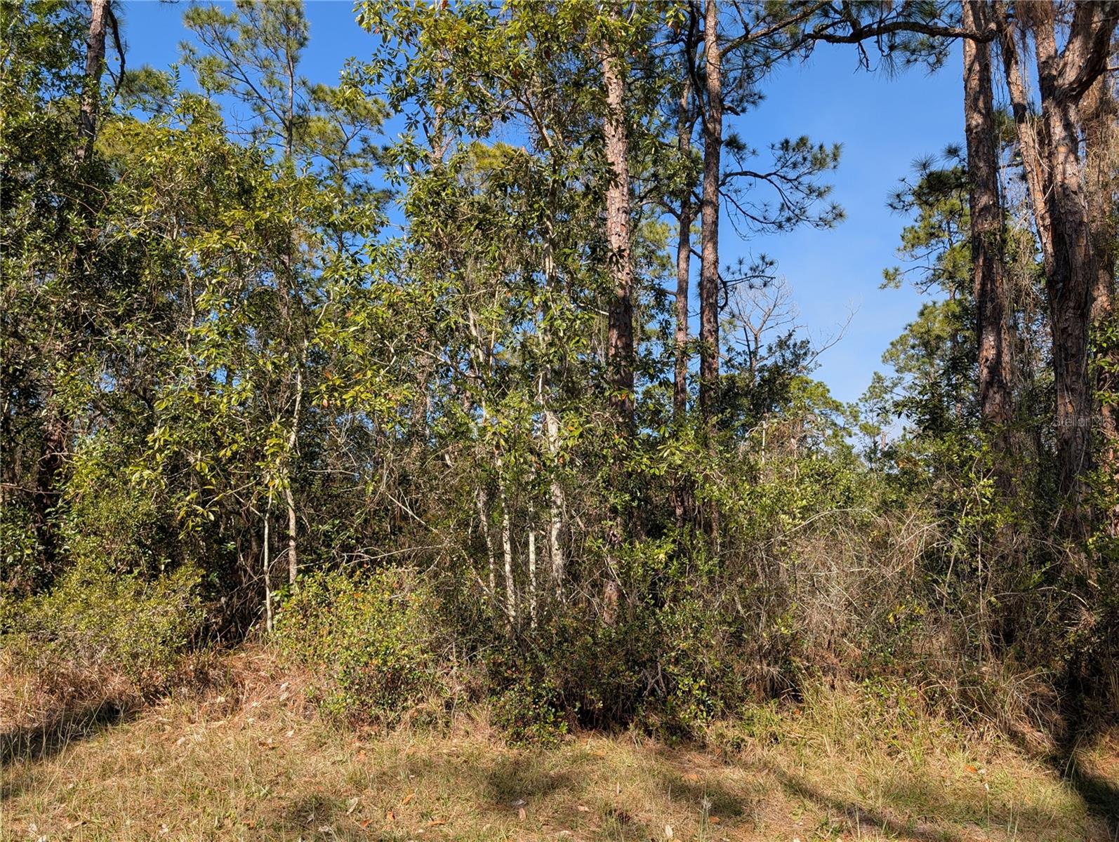 214 & 216 ALLAMANDA DR, INDIAN LAKE ESTATES, FL — photo 3