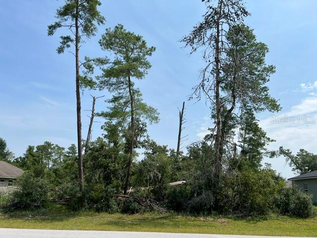 Lot 21 SW 29TH AVENUE RD, OCALA, FL — photo 3