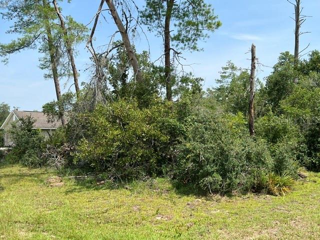 Lot 21 SW 29TH AVENUE RD, OCALA, FL — photo 4
