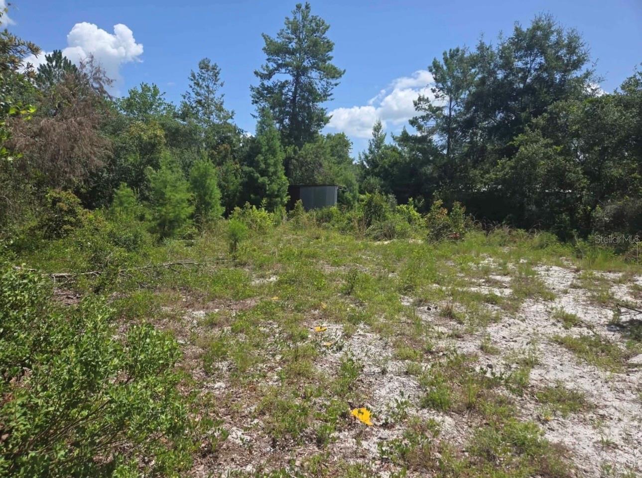 45560 GEORGIA ST, PAISLEY, FL — photo 3