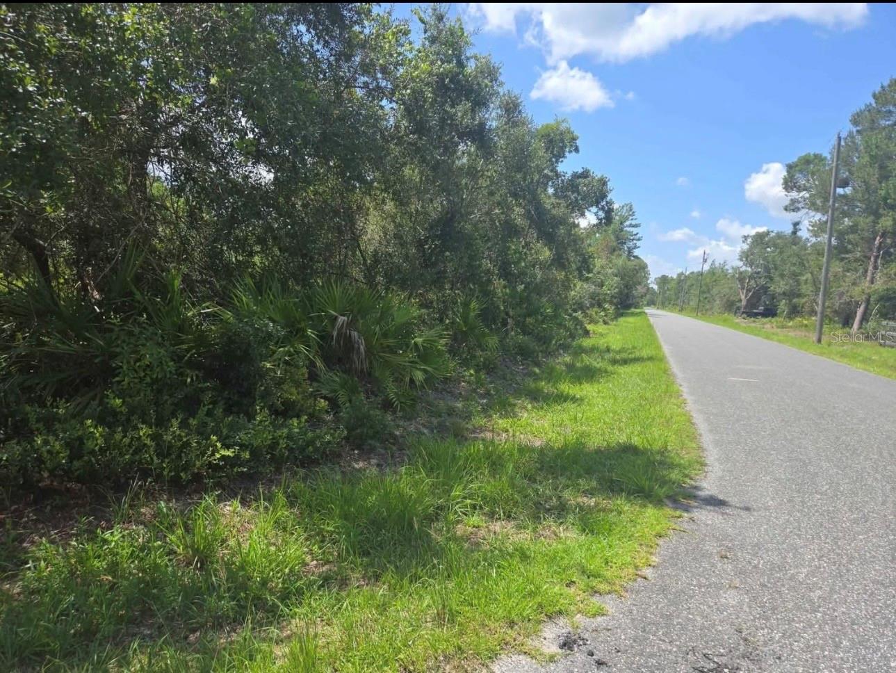 45560 GEORGIA ST, PAISLEY, FL — photo 5