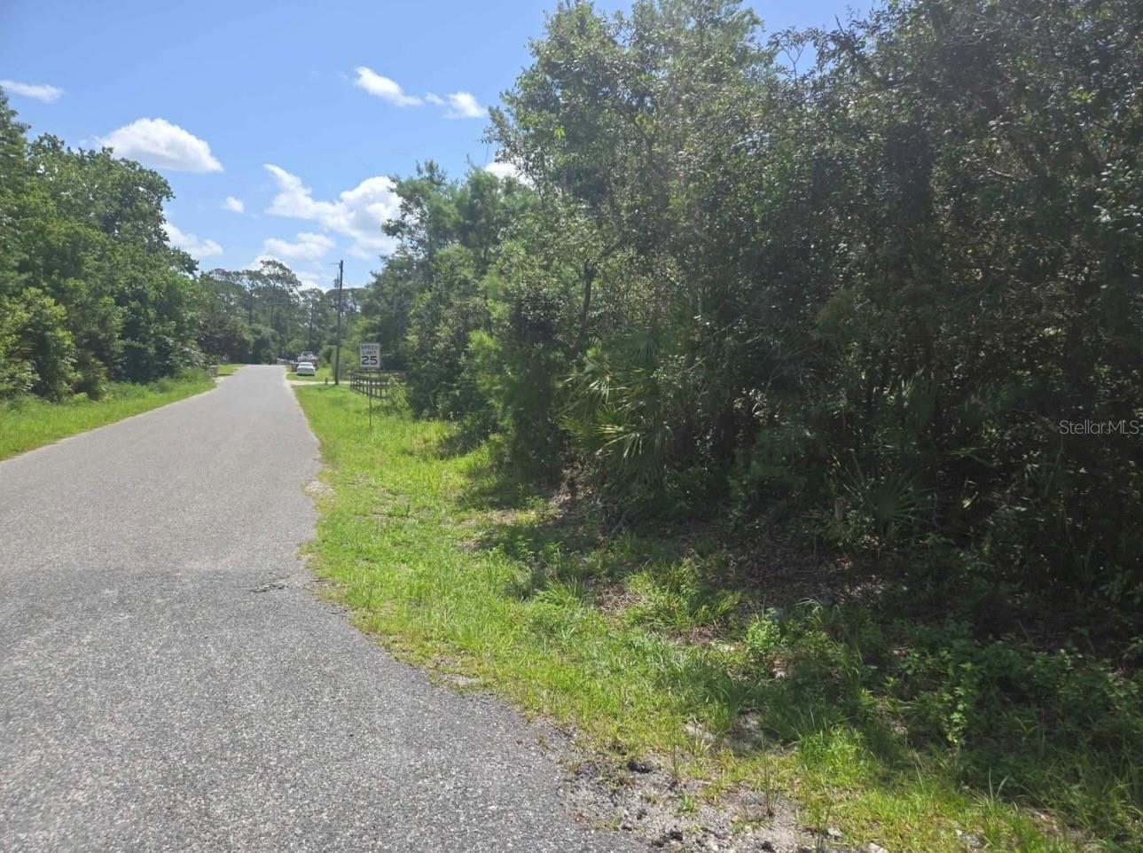 45560 GEORGIA ST, PAISLEY, FL — photo 7