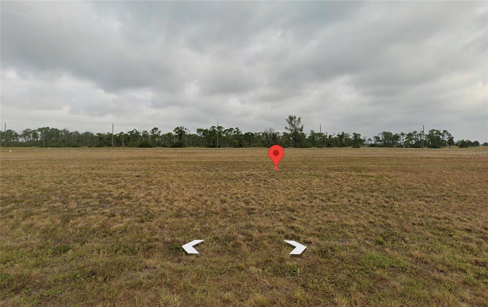 13496 TORPEDO-RAY PL, PLACIDA, FL
