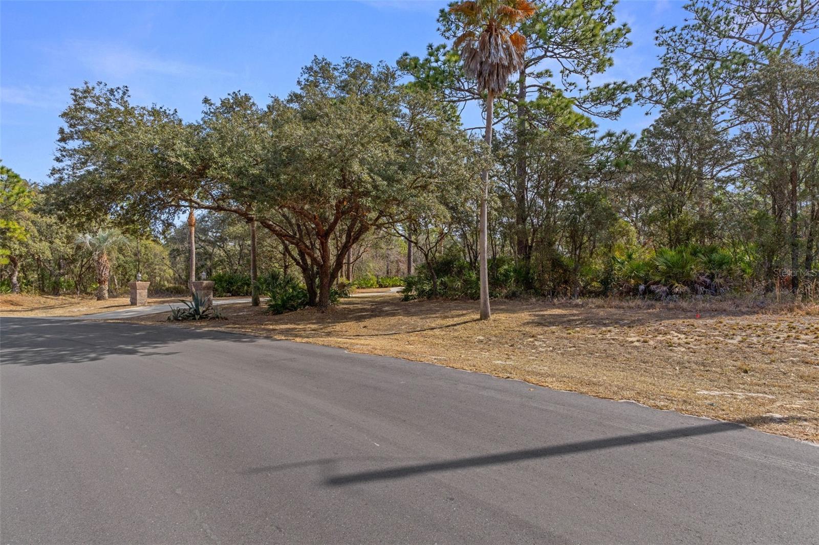4976 W YEARLING DR, BEVERLY HILLS, FL