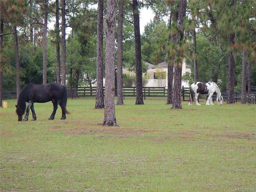 4976 W YEARLING DR, BEVERLY HILLS, FL — photo 21