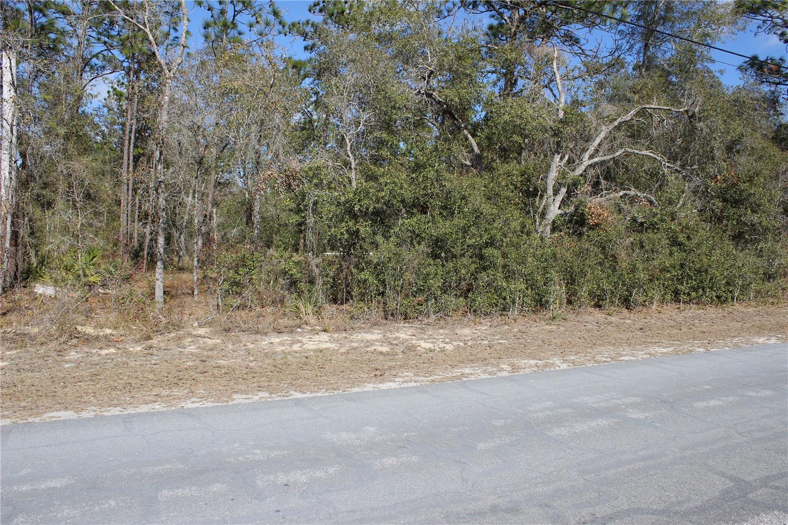 0 QUIGLEY AVE, WEEKI WACHEE, FL — photo 2