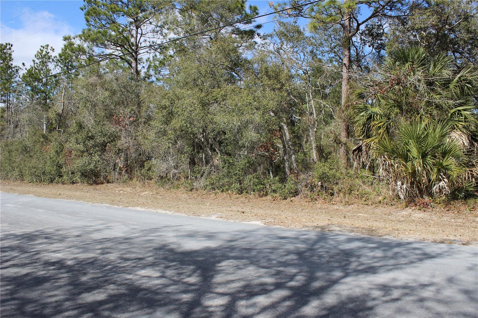 0 QUIGLEY AVE, WEEKI WACHEE, FL — photo 3
