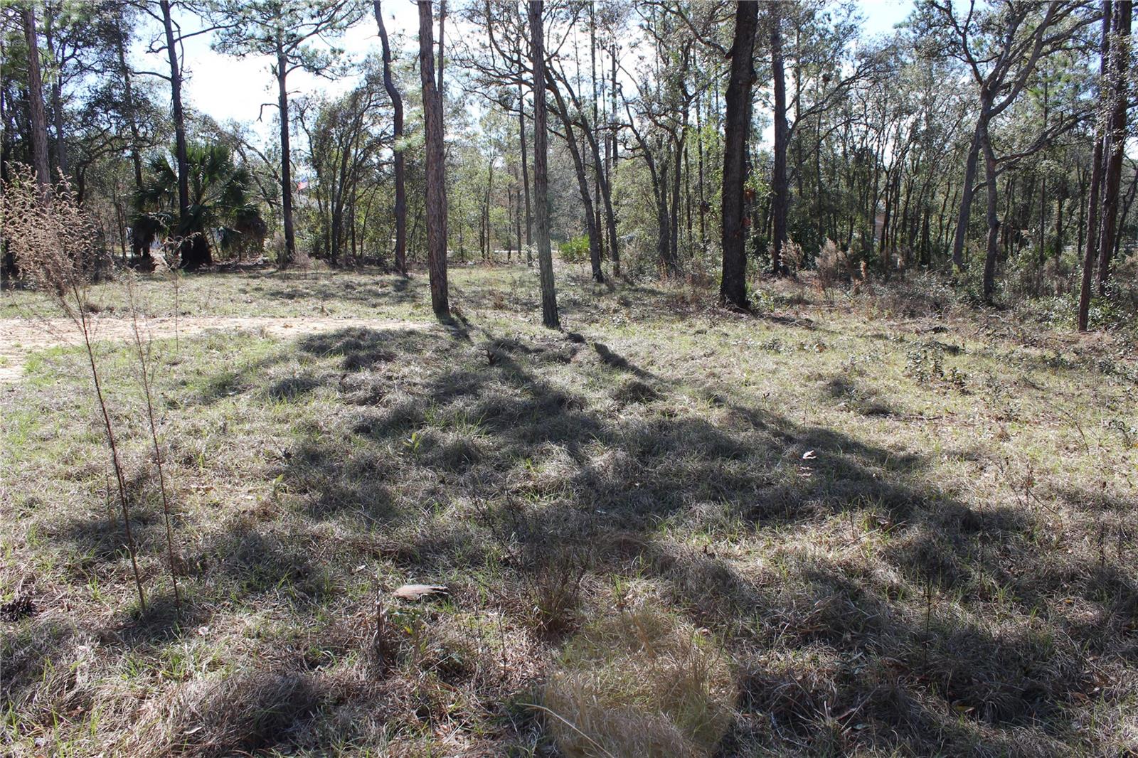 0 QUIGLEY AVE, WEEKI WACHEE, FL — photo 4