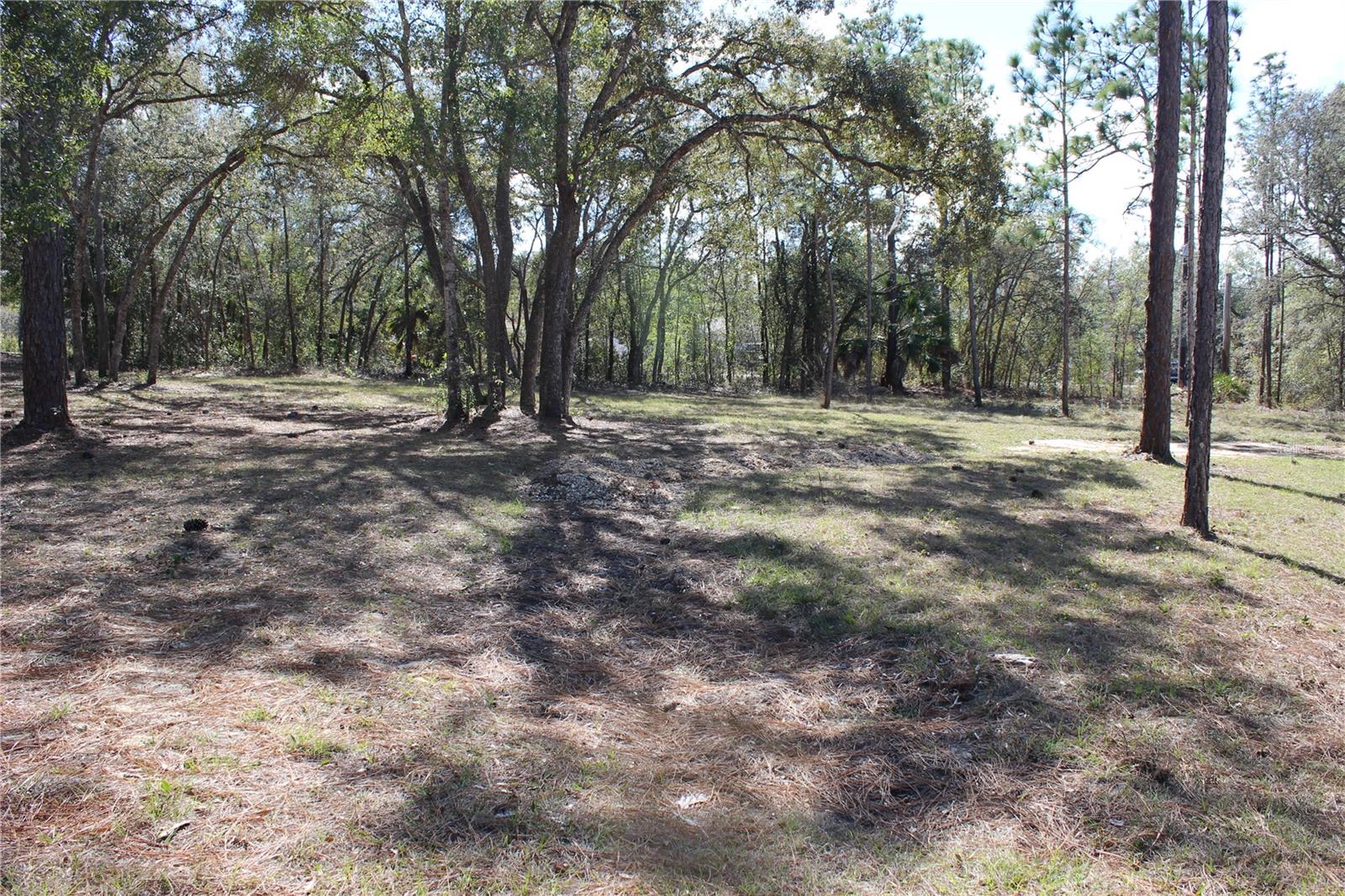 0 QUIGLEY AVE, WEEKI WACHEE, FL — photo 5