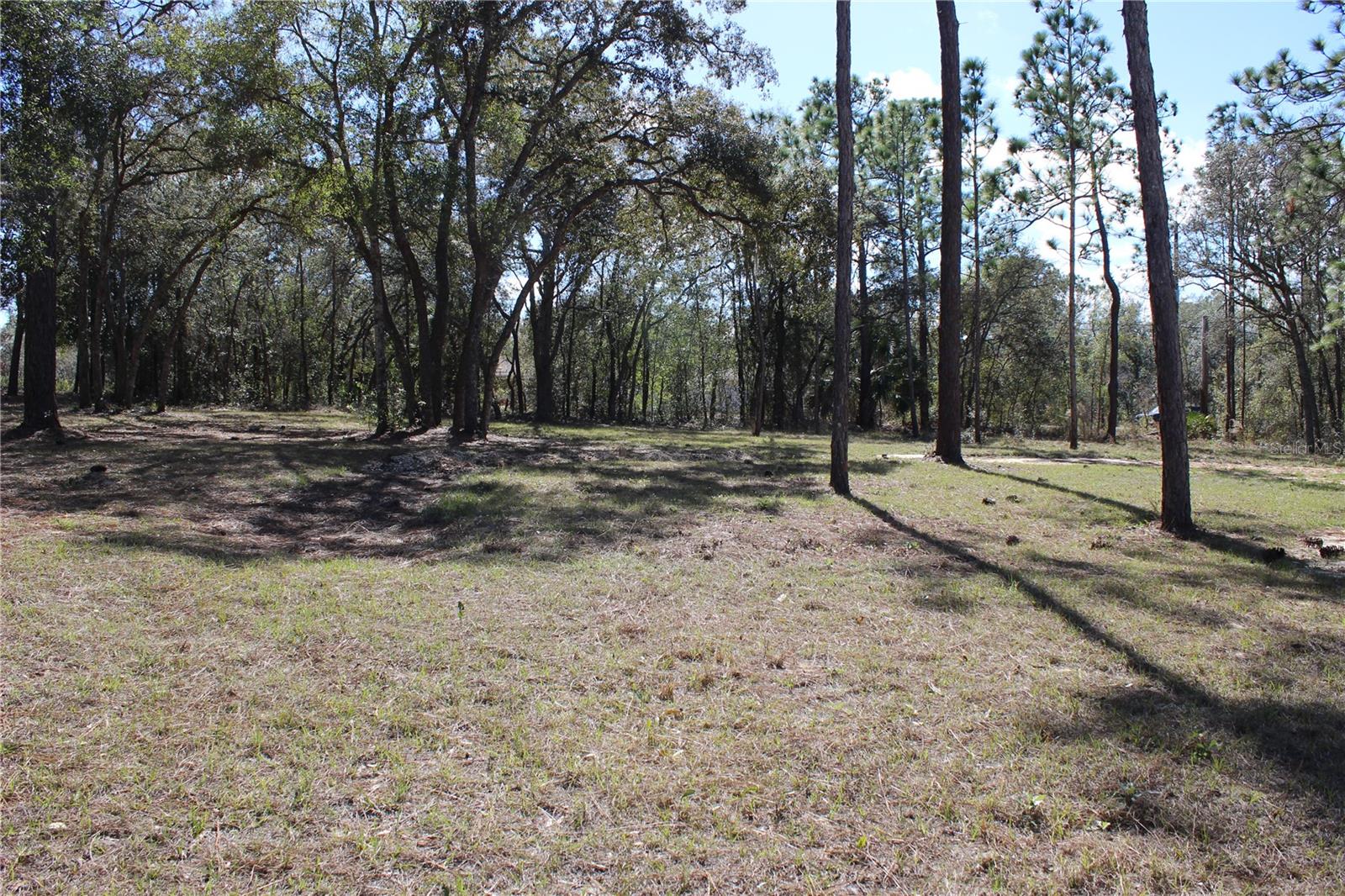 0 QUIGLEY AVE, WEEKI WACHEE, FL — photo 6
