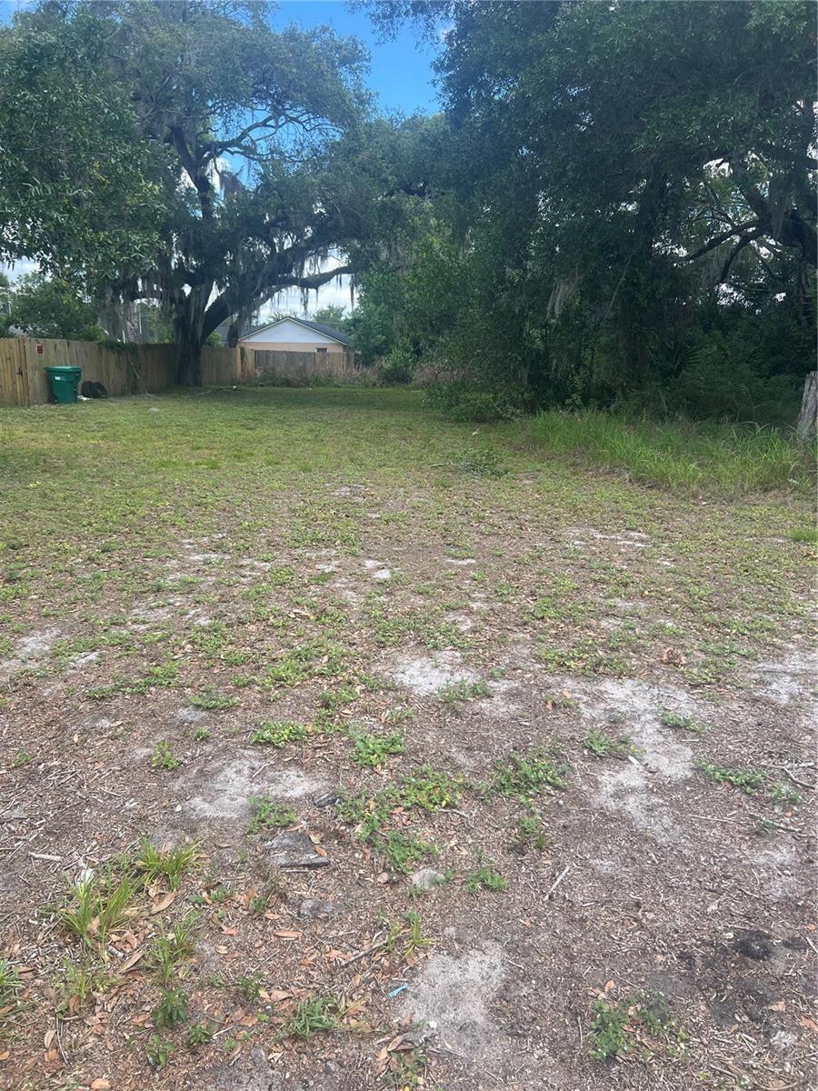 E JACKSON AVE, MOUNT DORA, FL
