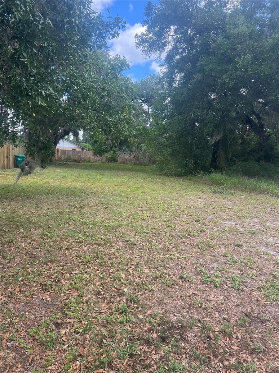 E JACKSON AVE, MOUNT DORA, FL — photo 3