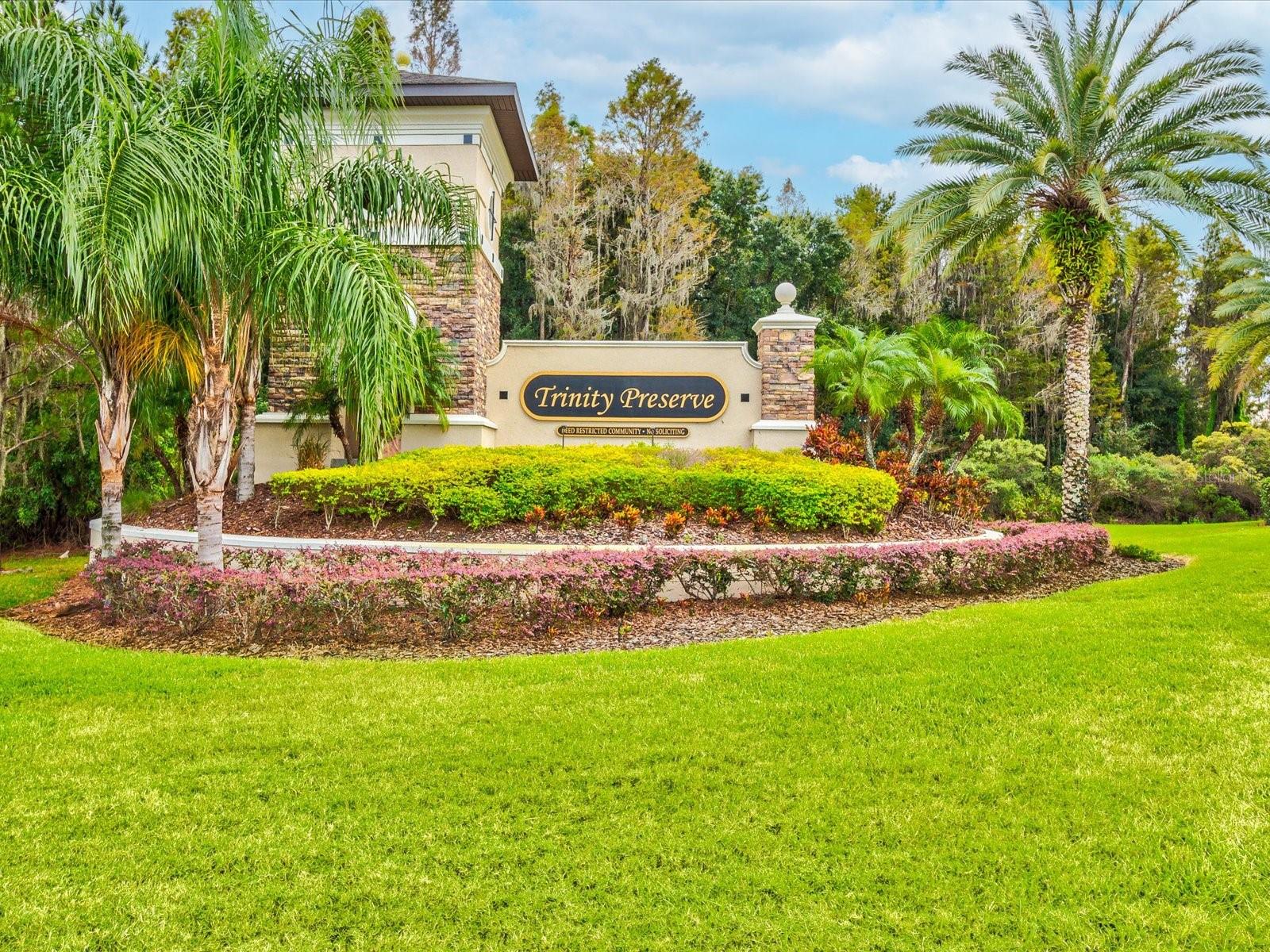 1716 HADDEN HALL PL, TRINITY, FL — photo 69