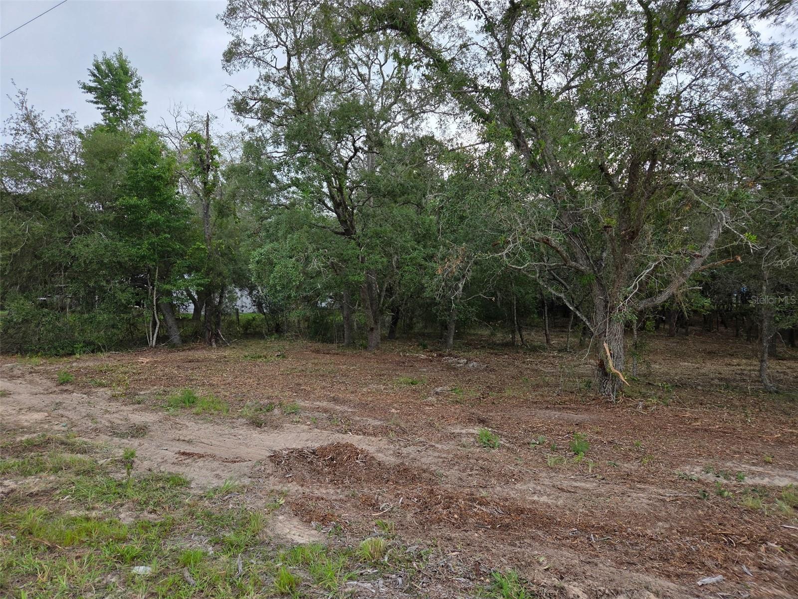 21531 SE 68TH LN, MORRISTON, FL — photo 2