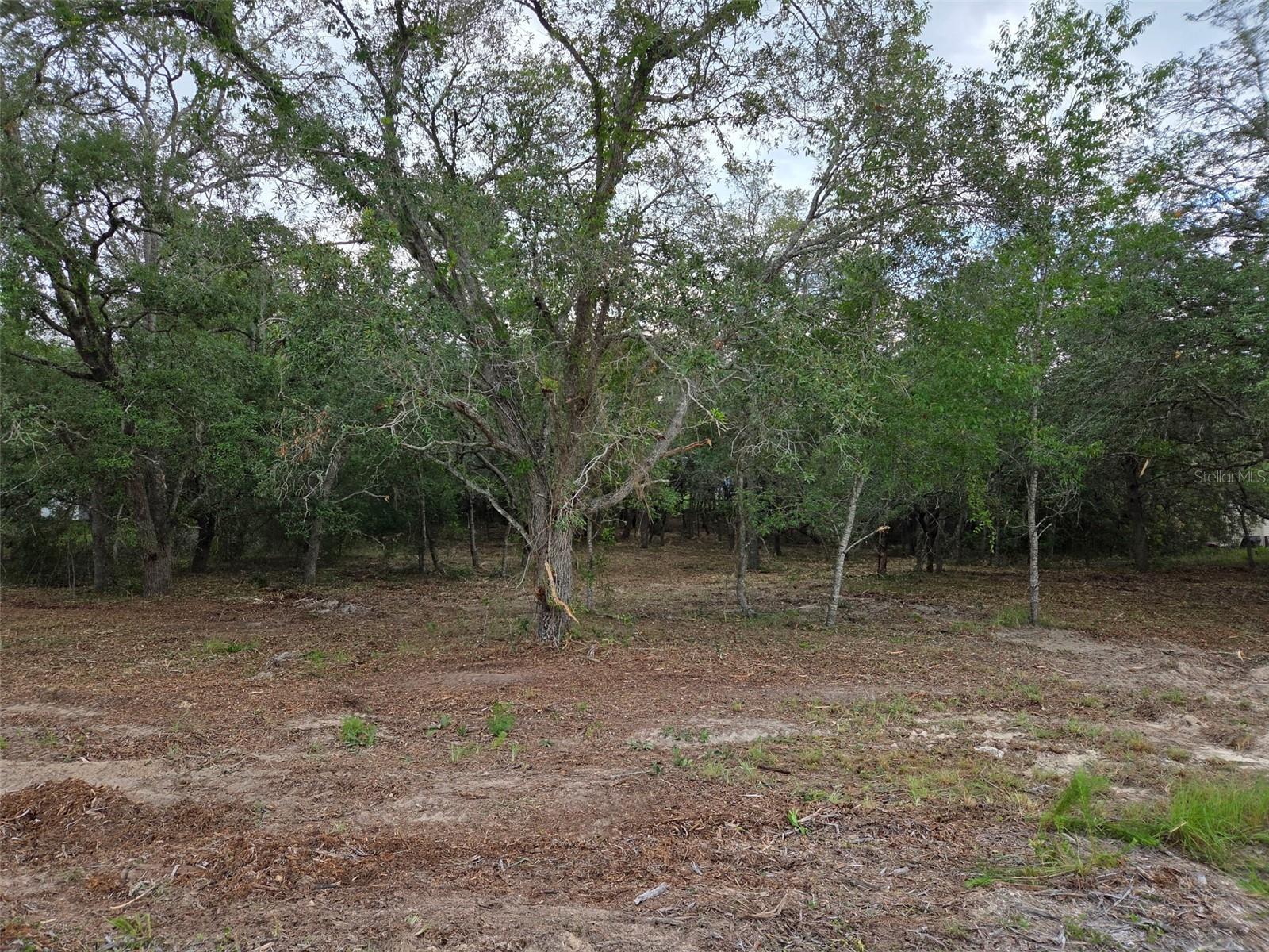 21531 SE 68TH LN, MORRISTON, FL — photo 3