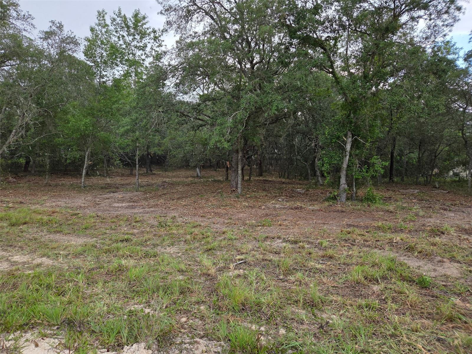 21531 SE 68TH LN, MORRISTON, FL — photo 4