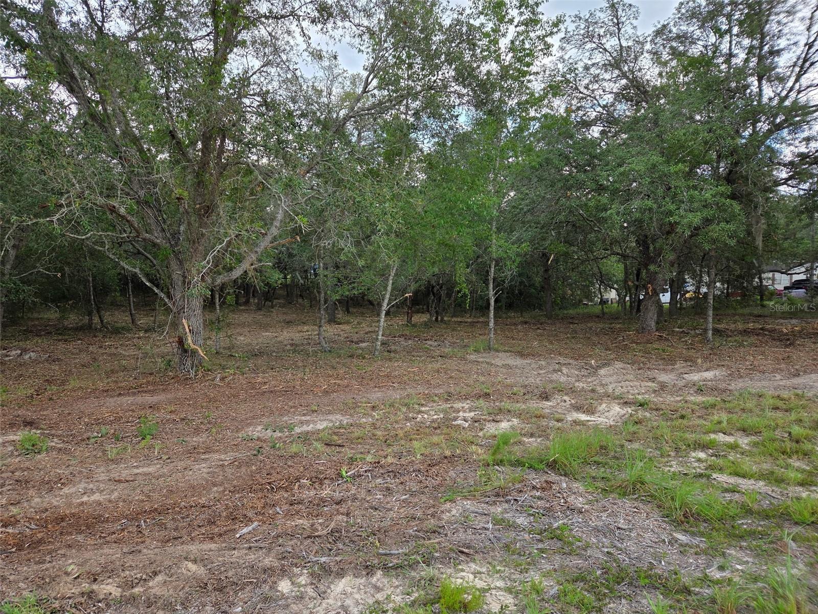 21531 SE 68TH LN, MORRISTON, FL — photo 5