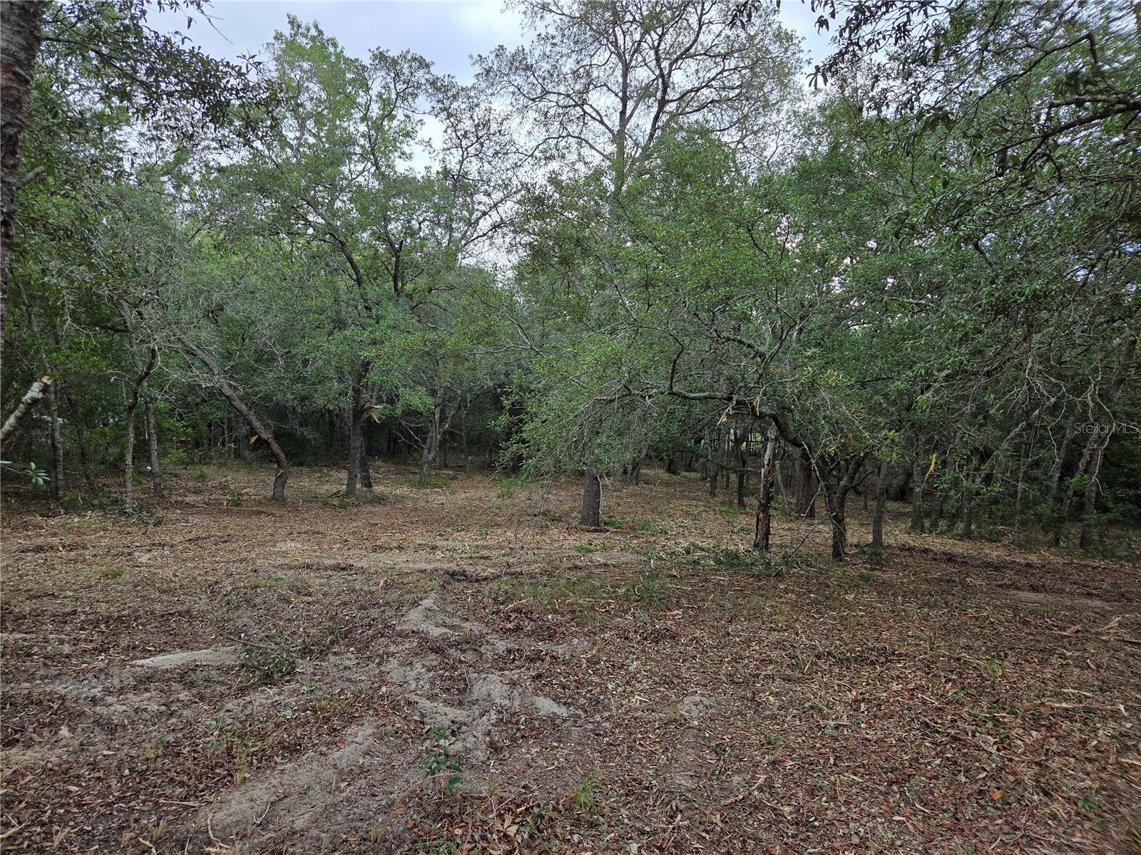 21531 SE 68TH LN, MORRISTON, FL — photo 6