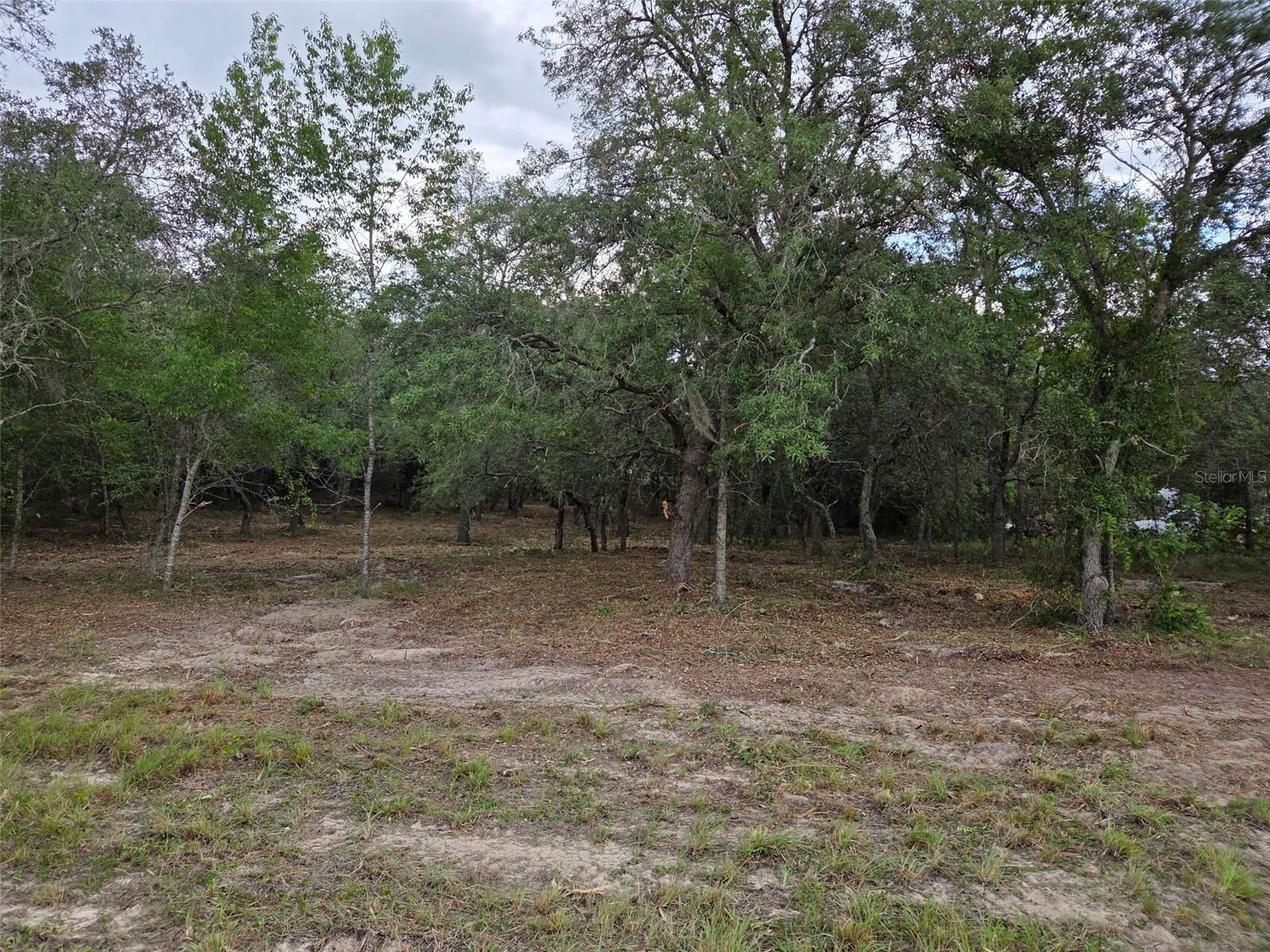 21531 SE 68TH LN, MORRISTON, FL — photo 8