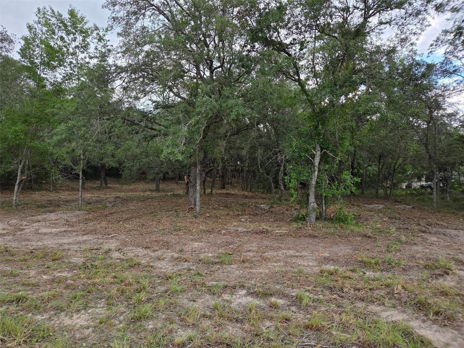 21531 SE 68TH LN, MORRISTON, FL — photo 9