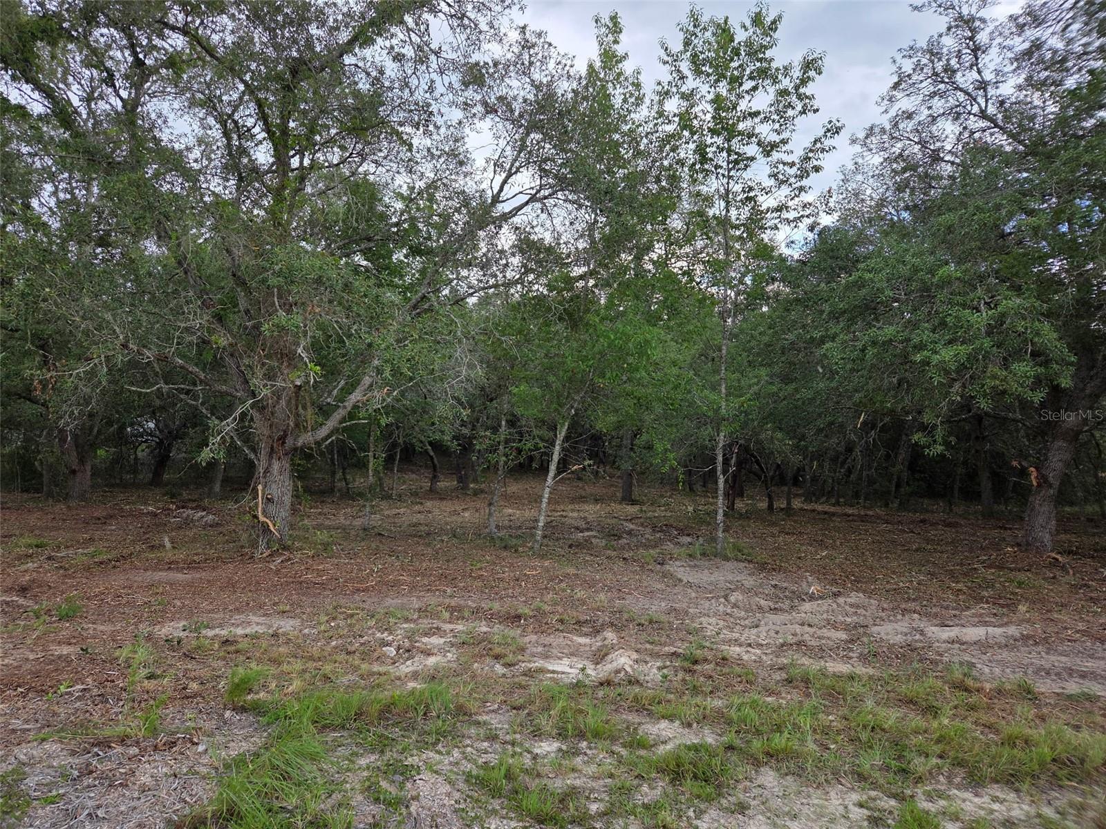 21531 SE 68TH LN, MORRISTON, FL — photo 10
