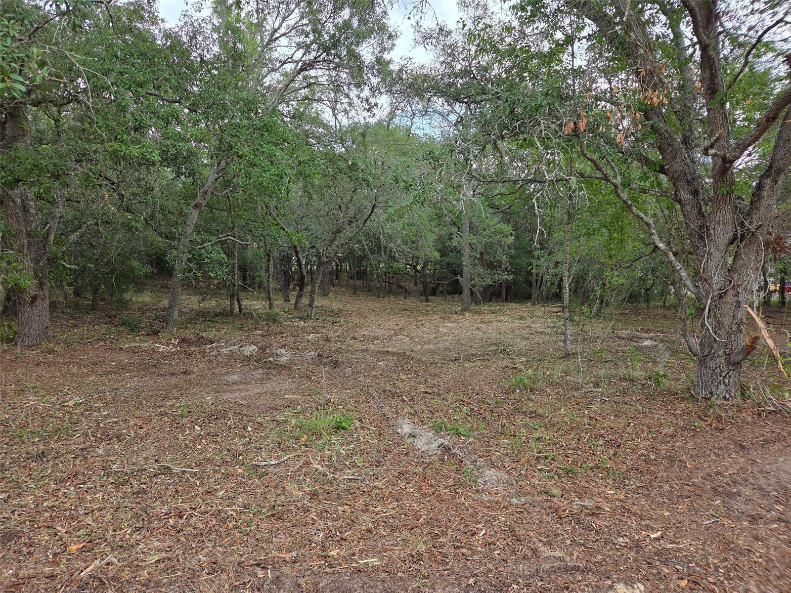 21531 SE 68TH LN, MORRISTON, FL — photo 11