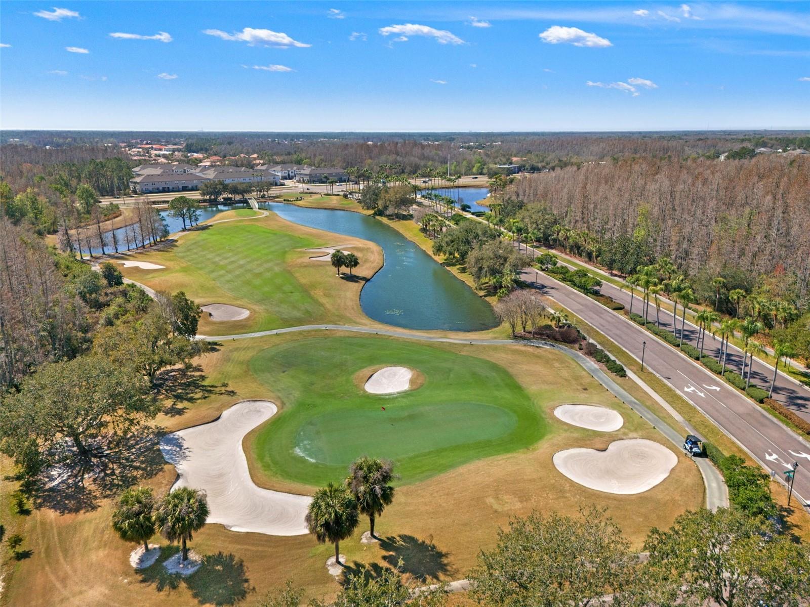 10626 LIBERTY BELL DR, TAMPA, FL — photo 5