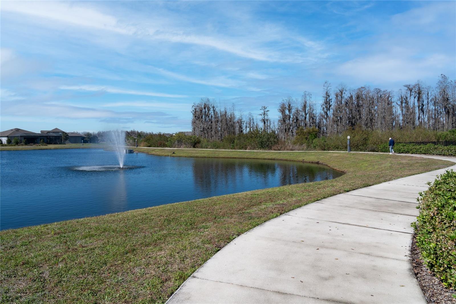 4748 BALLAST CREST CV, LAND O LAKES, FL — photo 85