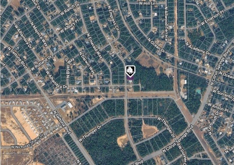10049 N BISCAYNE DR, CITRUS SPRINGS, FL — photo 3