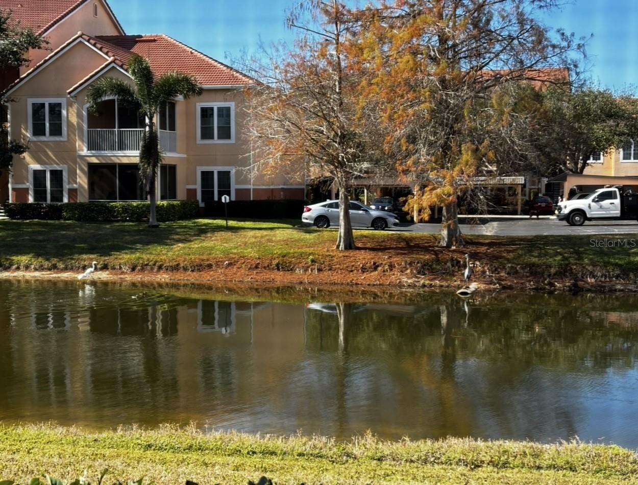 4220 CENTRAL SARASOTA PKWY #1214, SARASOTA, FL — photo 61