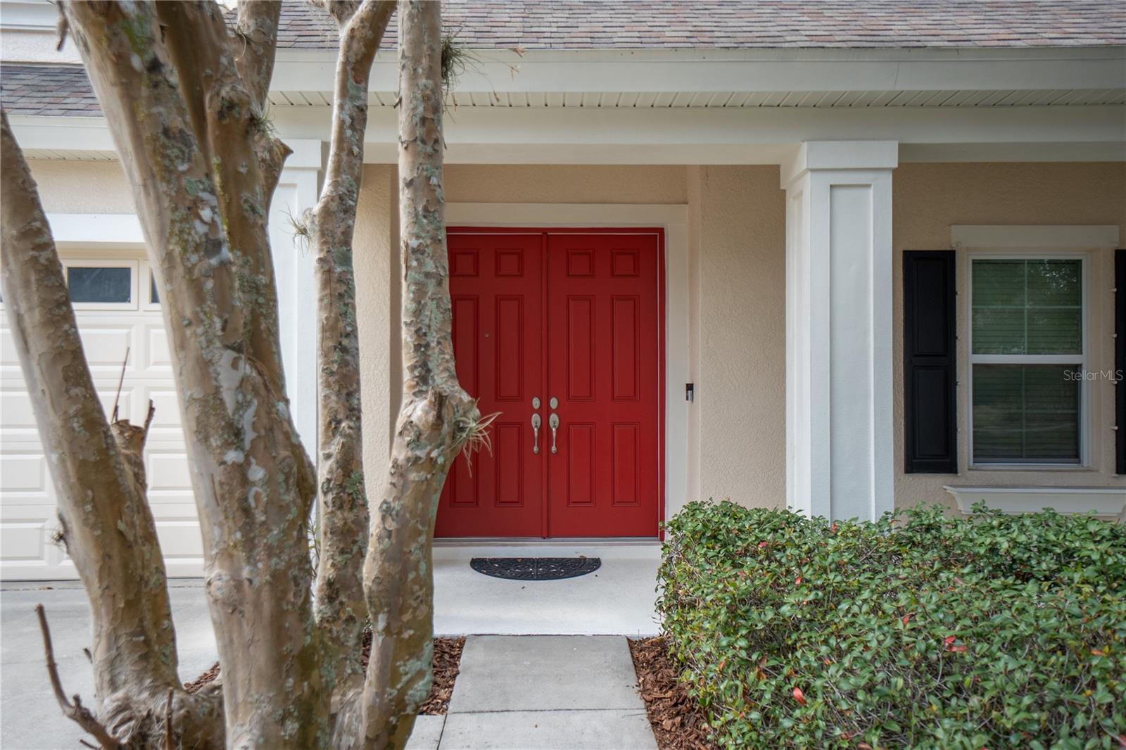 11603 GRANGE STEAD LN, RIVERVIEW, FL — photo 11