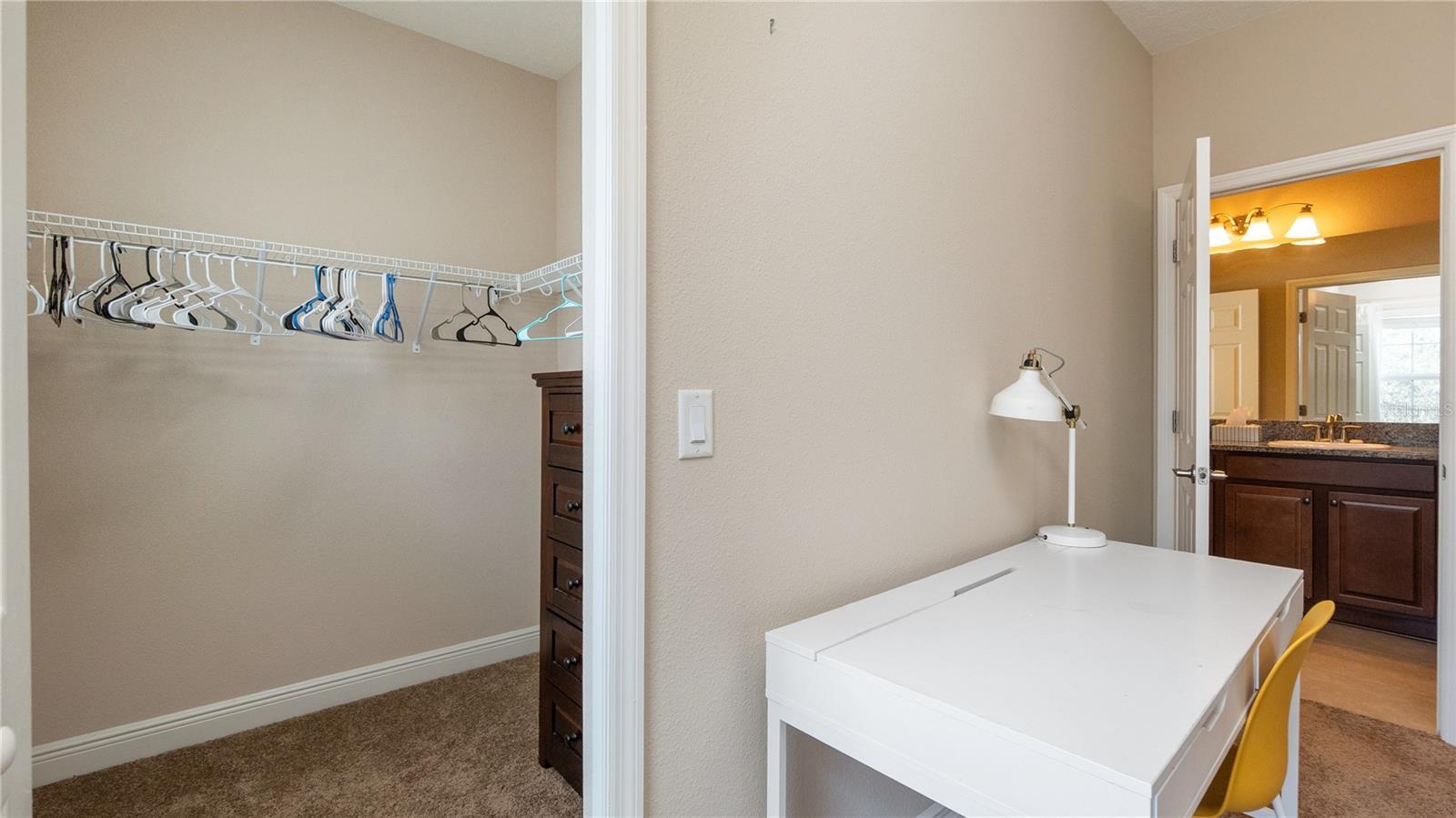 11603 GRANGE STEAD LN, RIVERVIEW, FL — photo 46