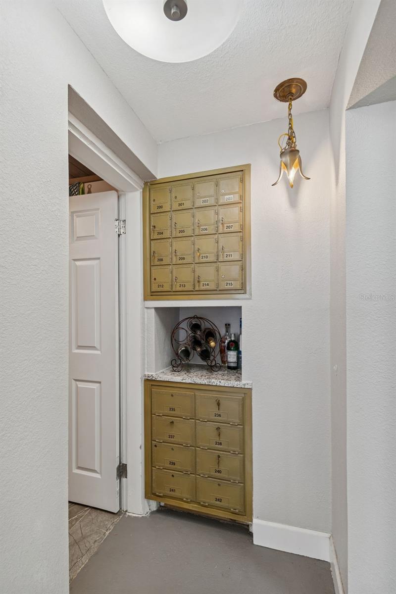 2427 BAYWOOD DR W, DUNEDIN, FL — photo 27