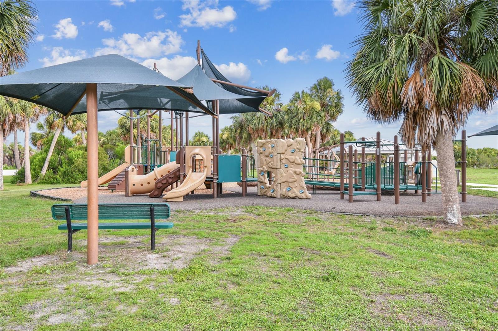 2427 BAYWOOD DR W, DUNEDIN, FL — photo 81