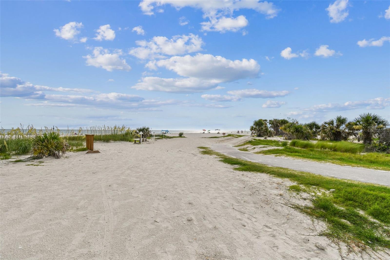 2427 BAYWOOD DR W, DUNEDIN, FL — photo 82