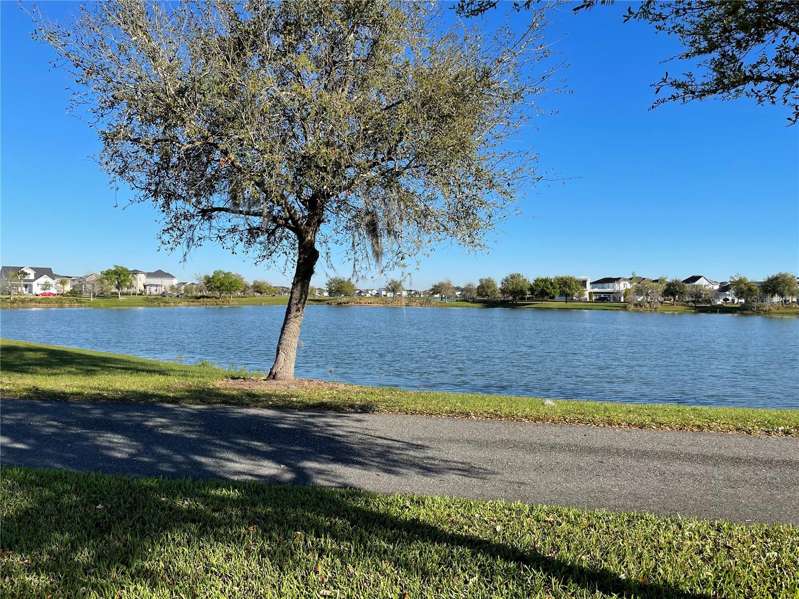 13352 LEGGETT ALY, ORLANDO, FL — photo 41