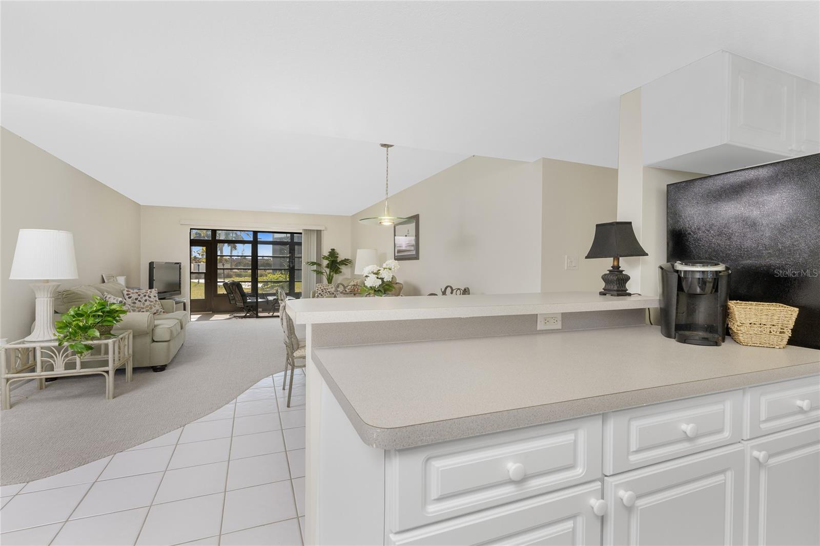 3224 WHITE IBIS CT #B1-3, PUNTA GORDA, FL — photo 32
