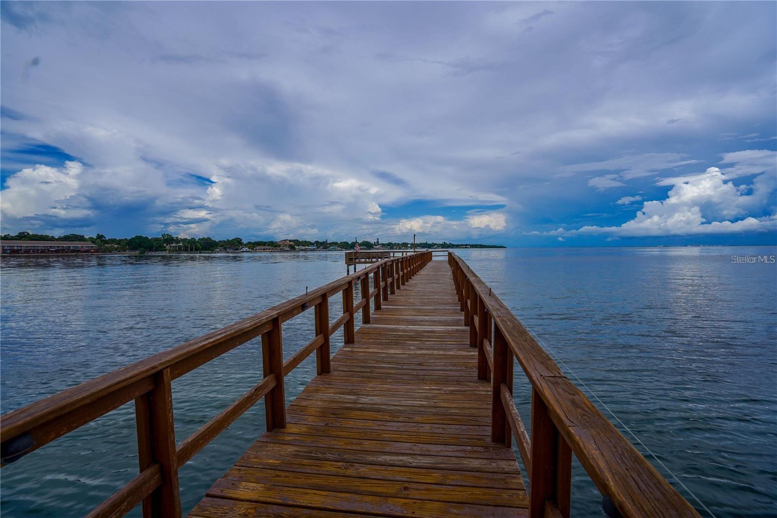 7100 SUNSHINE SKYWAY LN S #201, ST PETERSBURG, FL — photo 40
