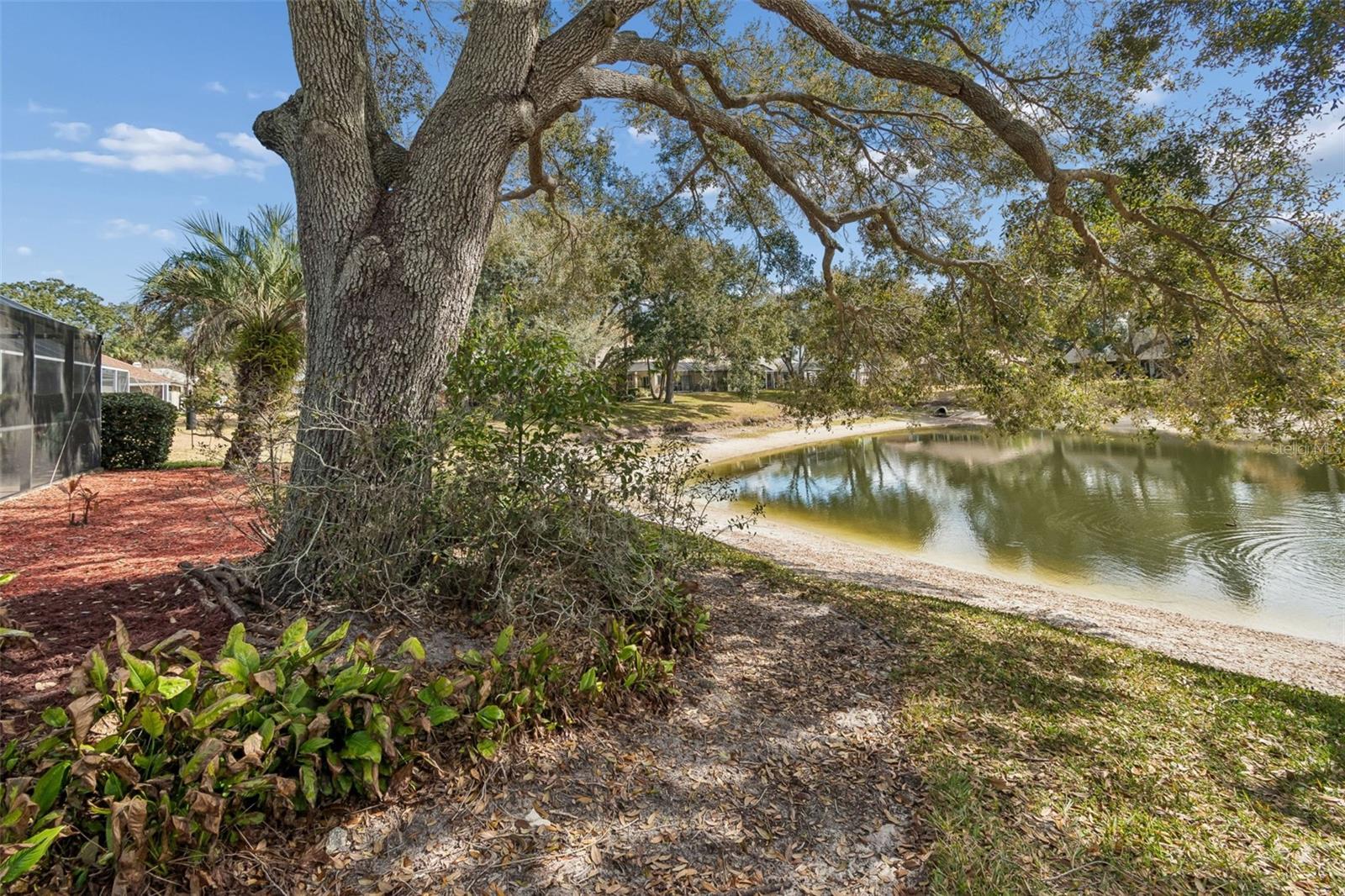 16711 LONGLEAT DR, LUTZ, FL — photo 58