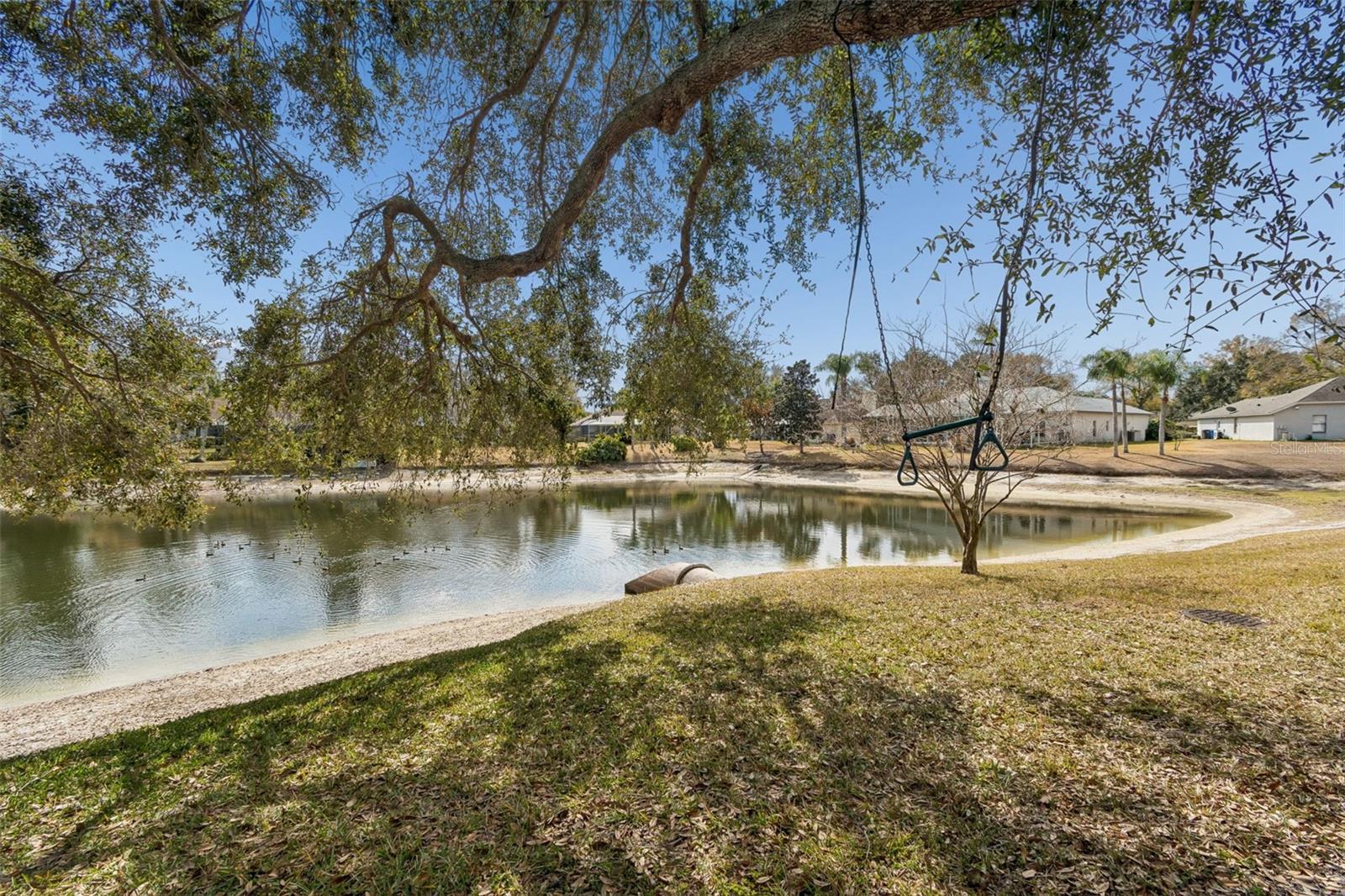 16711 LONGLEAT DR, LUTZ, FL — photo 59