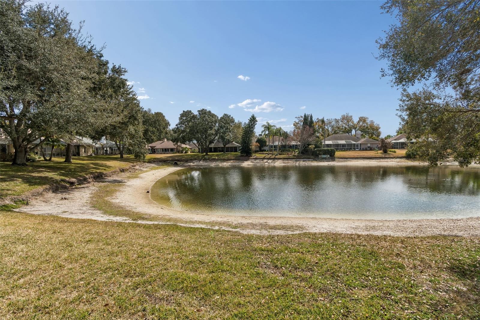 16711 LONGLEAT DR, LUTZ, FL — photo 60