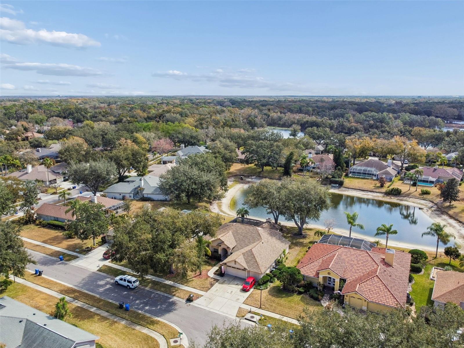 16711 LONGLEAT DR, LUTZ, FL — photo 63